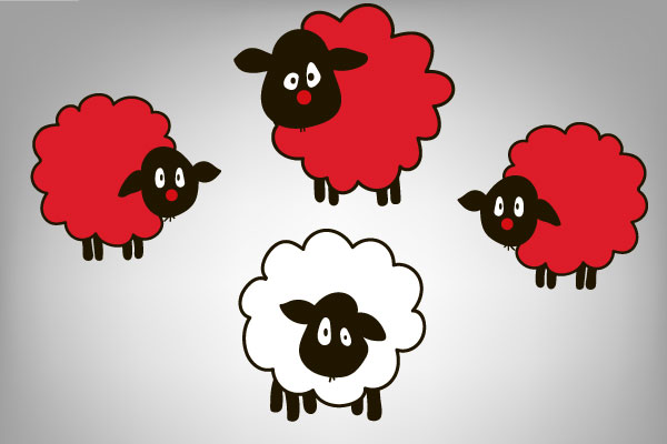 You are currently viewing Nous recherchons un mouton à 5 pattes !